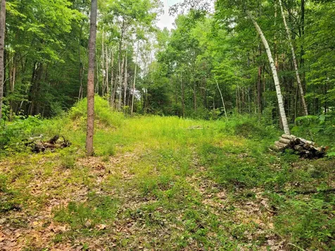 54 Fullam Pond Road Winchester NH 03470