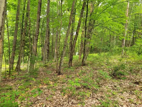 54 Fullam Pond Road Winchester NH 03470