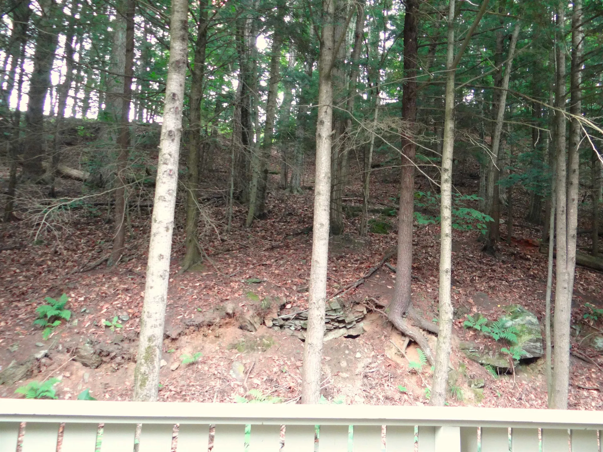 31 Pleasant Street Lebanon NH 03784