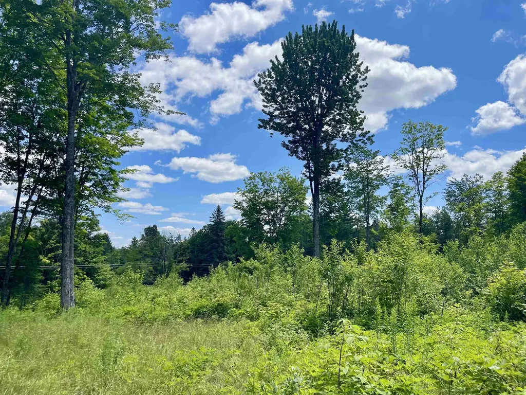 2209 Underpass Road Sutton VT 05867