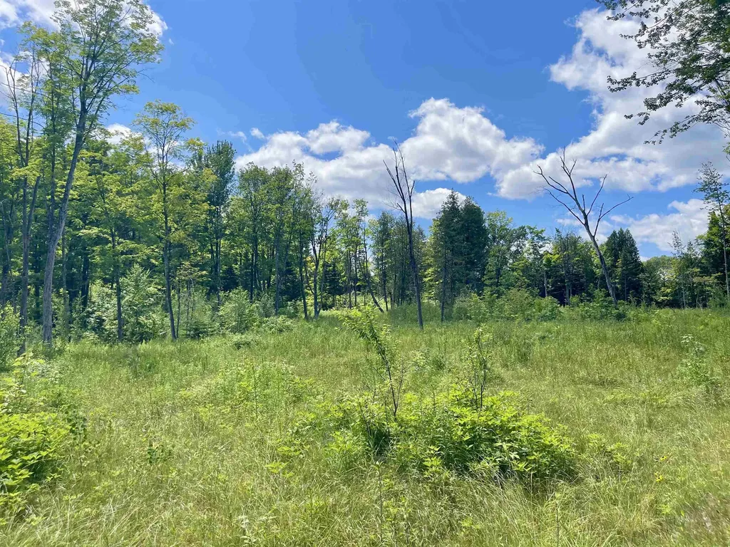 2209 Underpass Road Sutton VT 05867