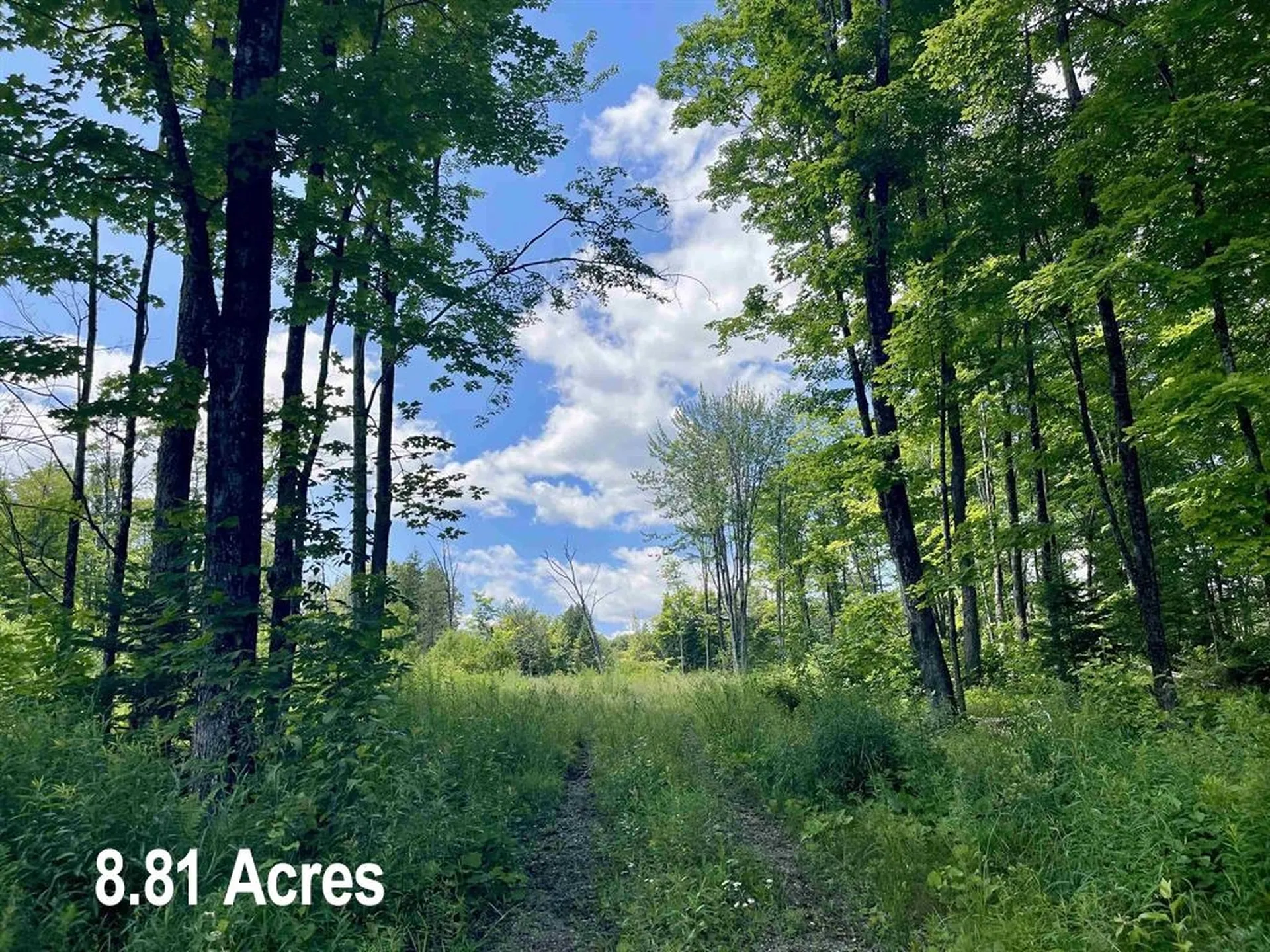 2209 Underpass Road Sutton VT 05867