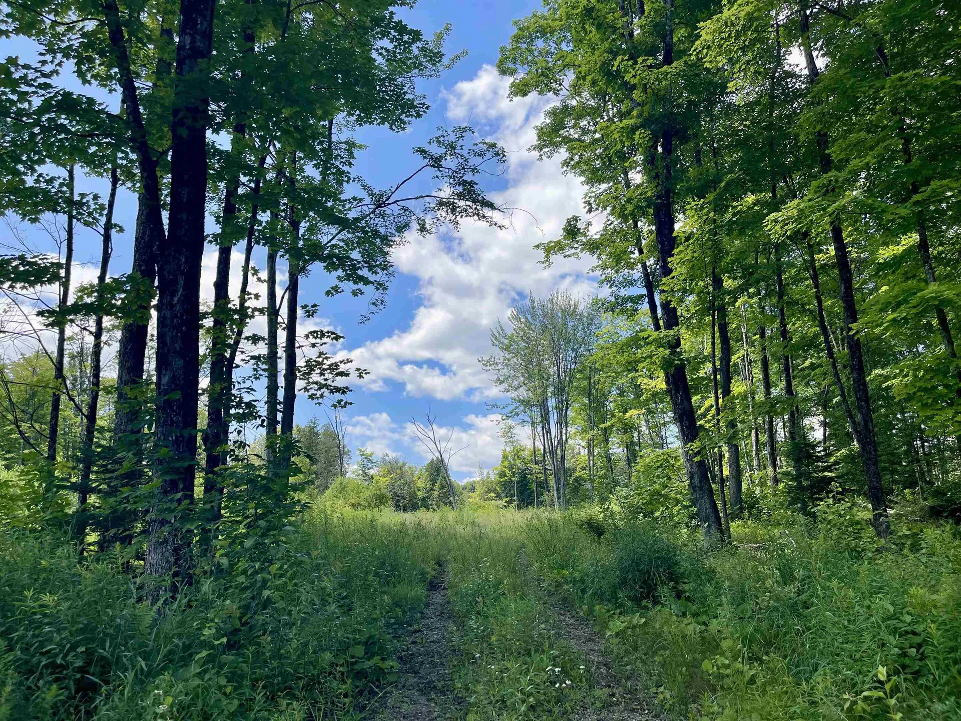 2209 Underpass Road Sutton VT 05867