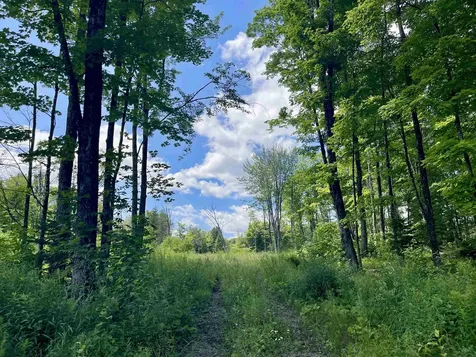 2209 Underpass Road Sutton VT 05867