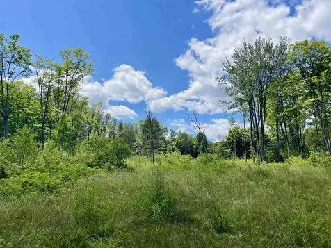 2209 Underpass Road Sutton VT 05867