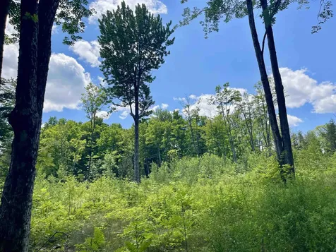 2209 Underpass Road Sutton VT 05867