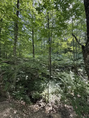 22 Wadleigh Road Sanbornton NH 03269