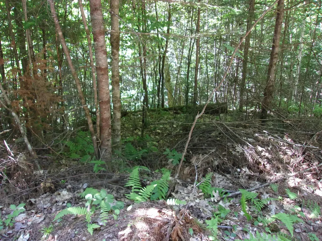 Swiftwater Circle Haverhill NH 03785