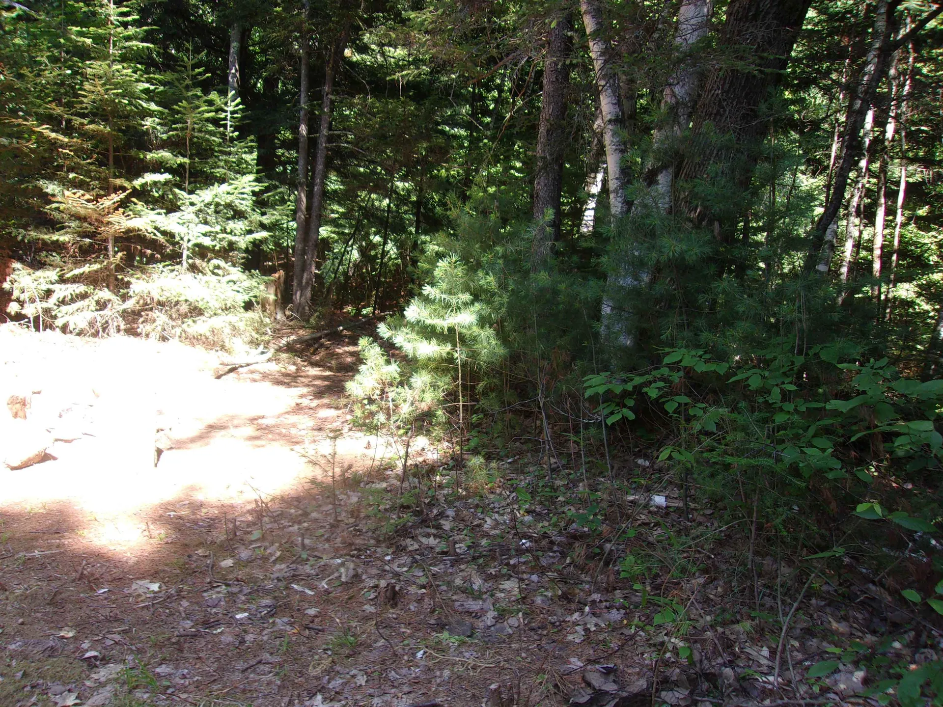 Swiftwater Circle Haverhill NH 03785