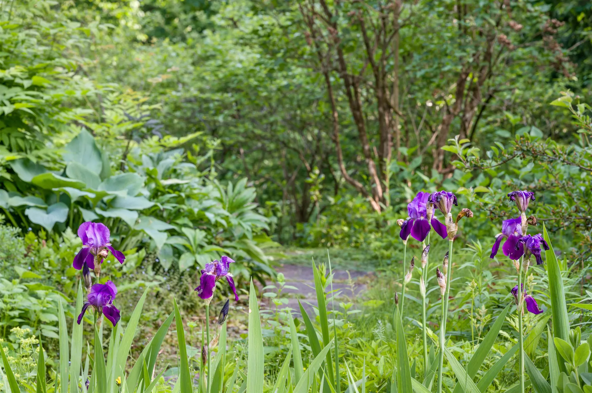 254 Macey Road Middlesex VT 05682