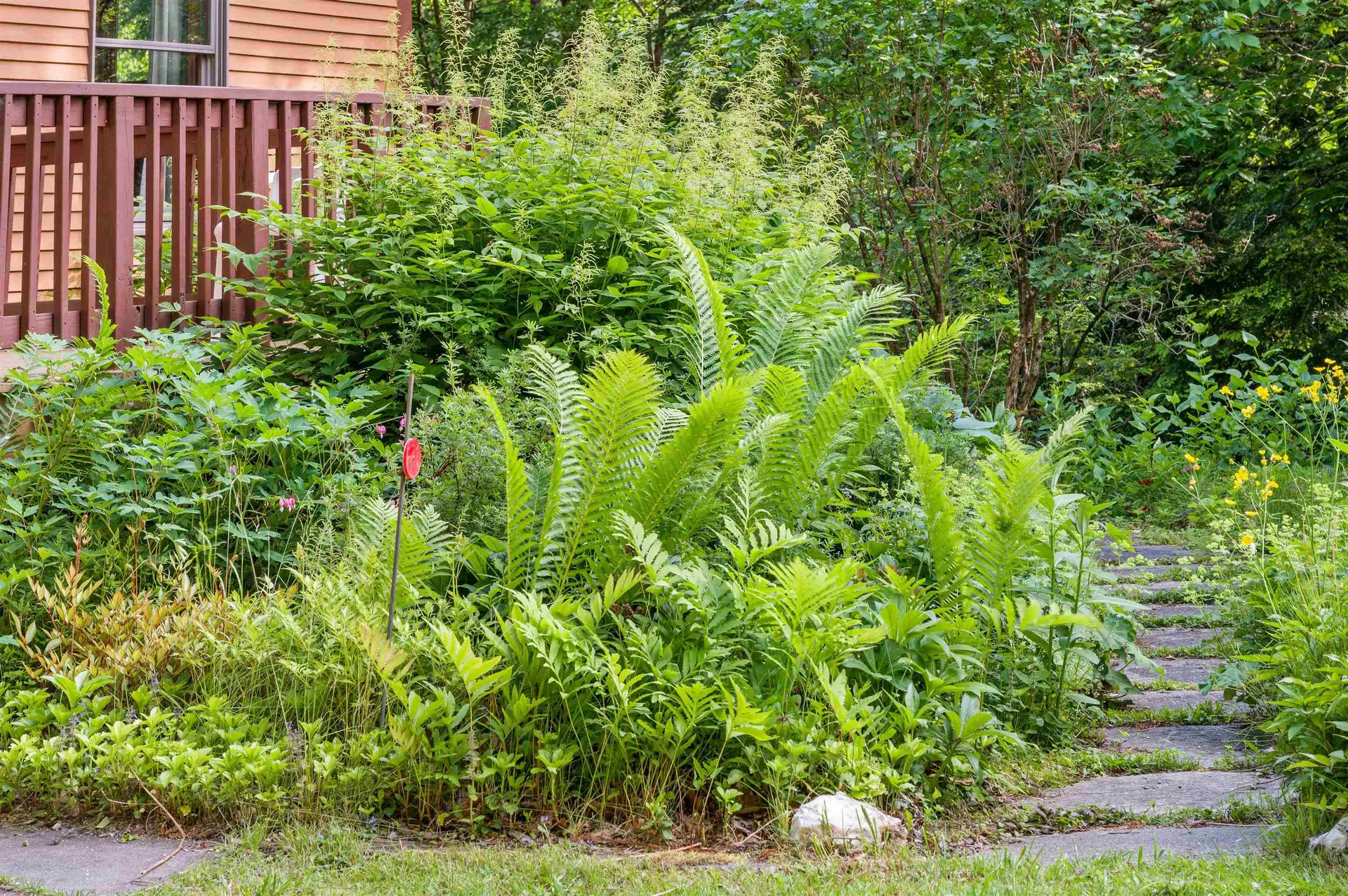 254 Macey Road Middlesex VT 05682