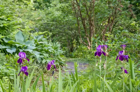 254 Macey Road Middlesex VT 05682
