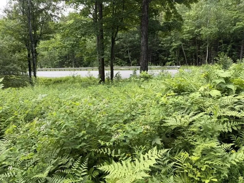2100 Route 58 Irasburg VT 05845-9765