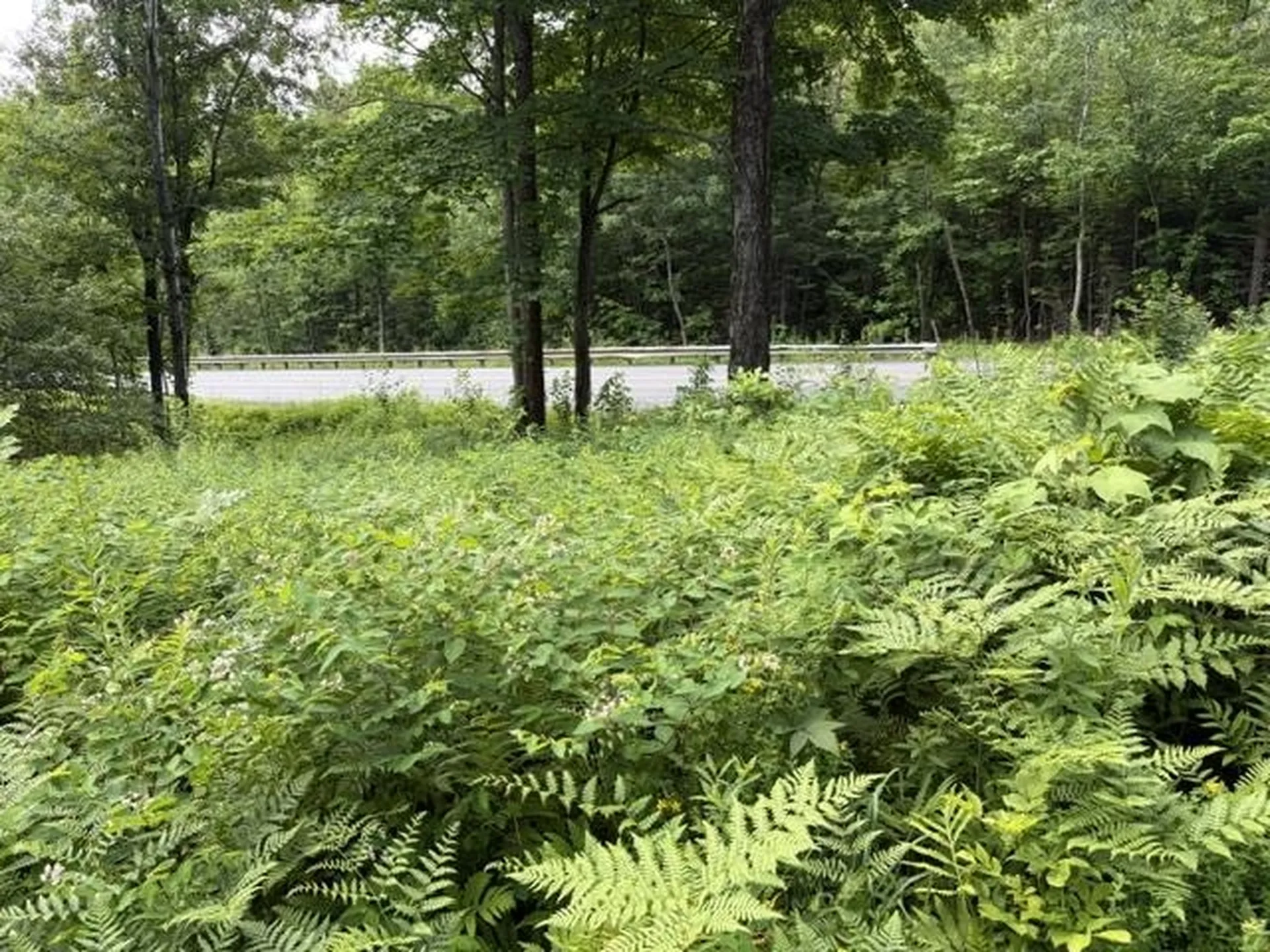 2100 Route 58 Irasburg VT 05845-9765