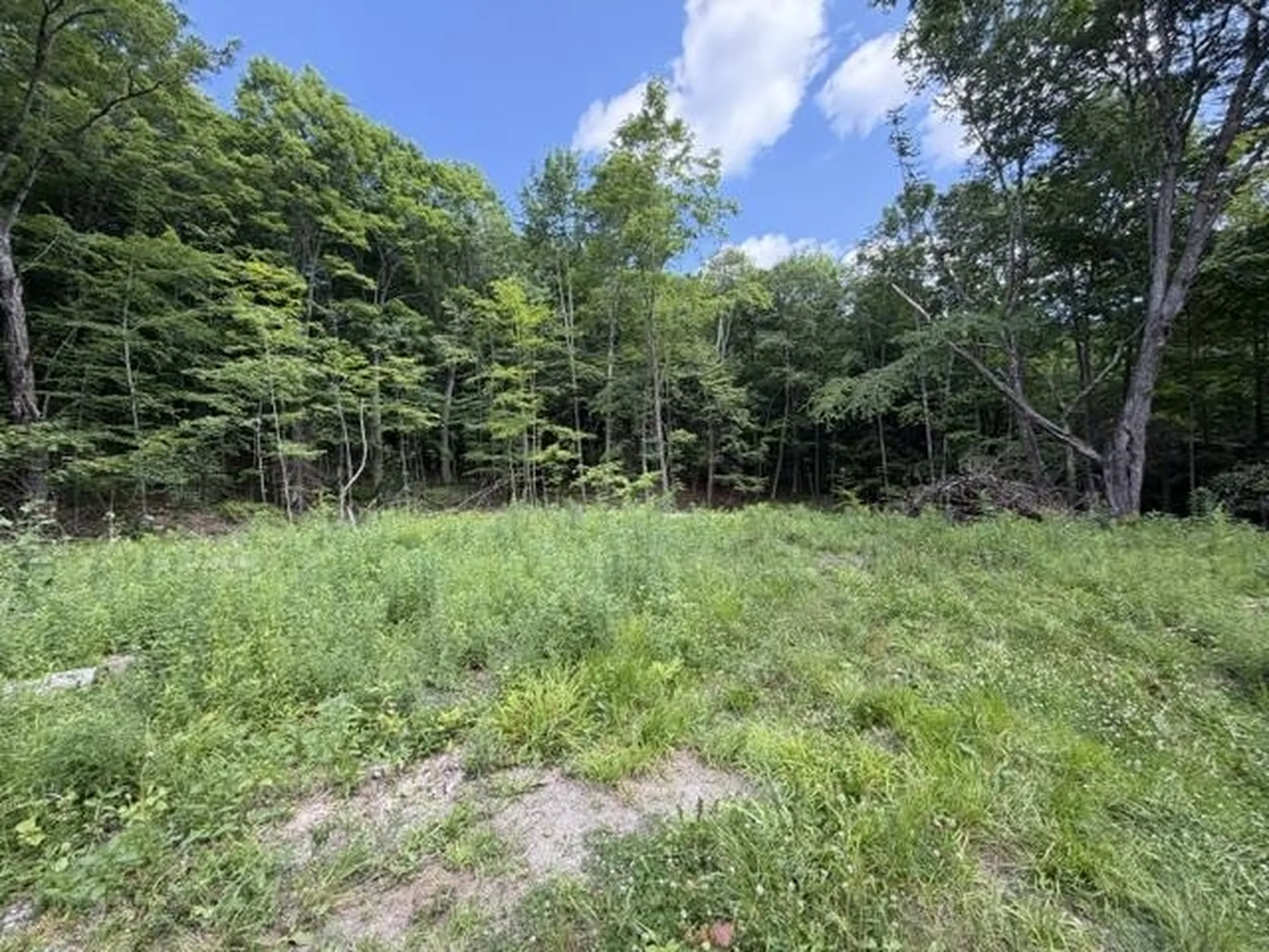 2100 Route 58 Irasburg VT 05845-9765