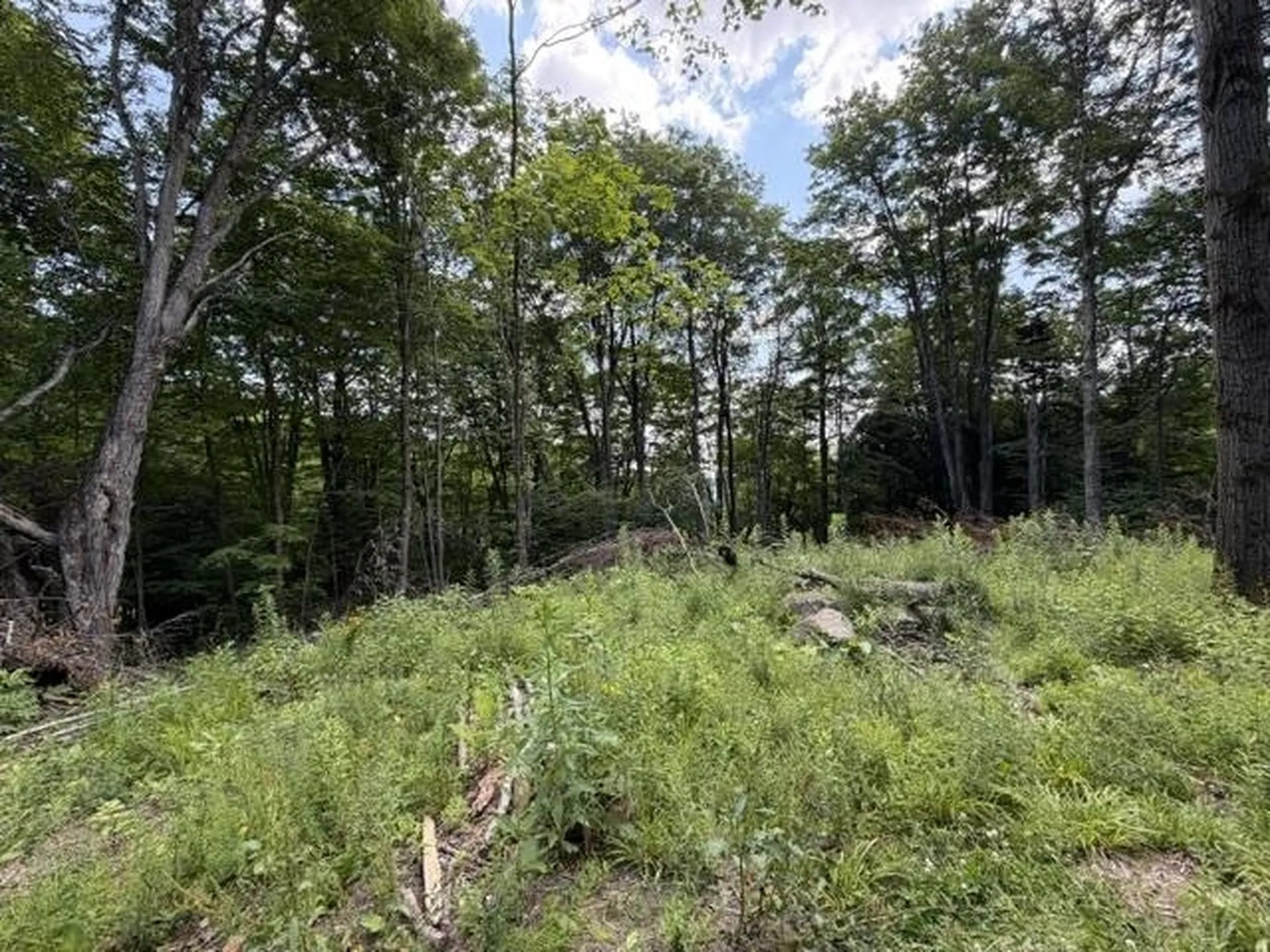 2100 Route 58 Irasburg VT 05845-9765