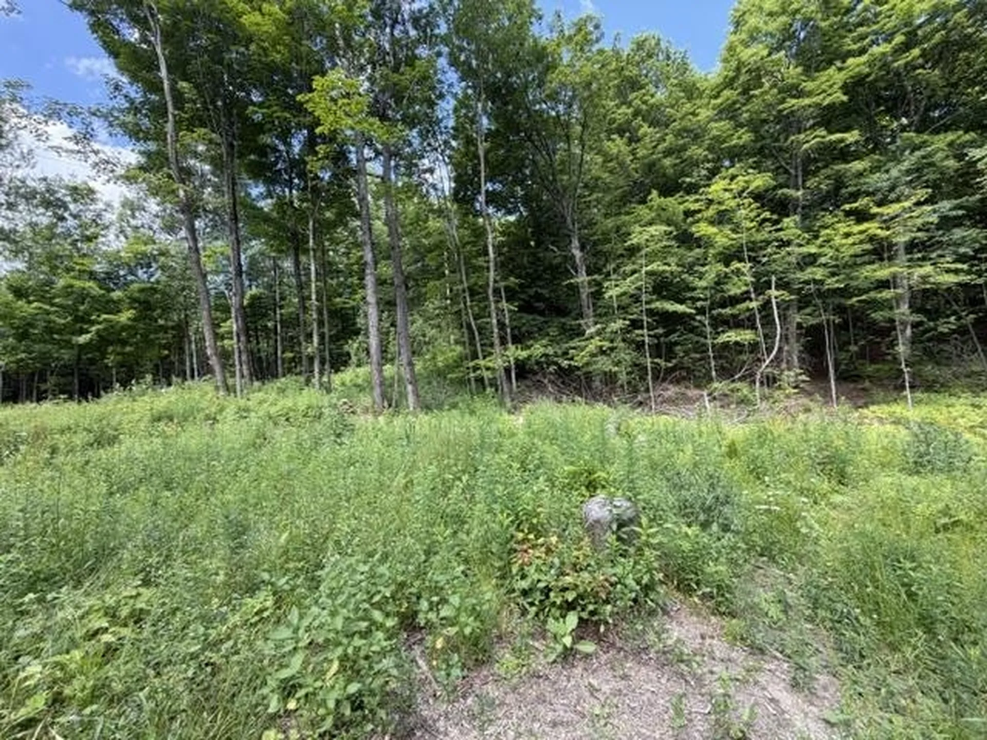 2100 Route 58 Irasburg VT 05845-9765