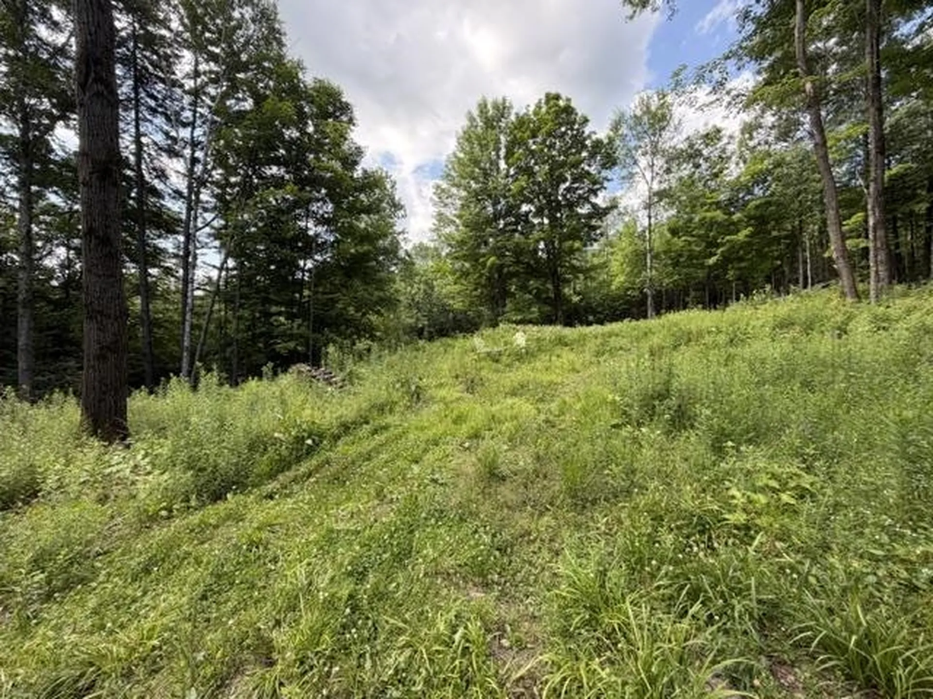 2100 Route 58 Irasburg VT 05845-9765