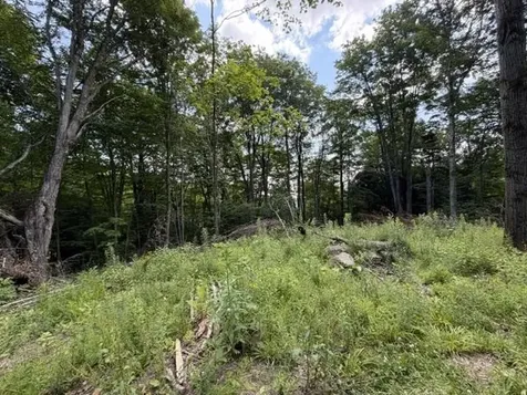 2100 Route 58 Irasburg VT 05845-9765
