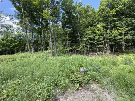 2100 Route 58 Irasburg VT 05845-9765