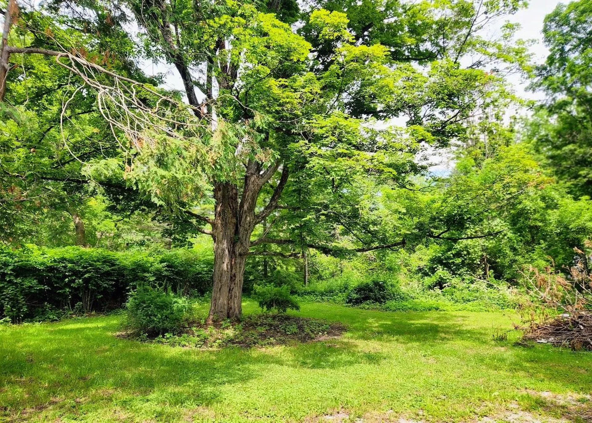 115 River Street Wallingford VT 05773