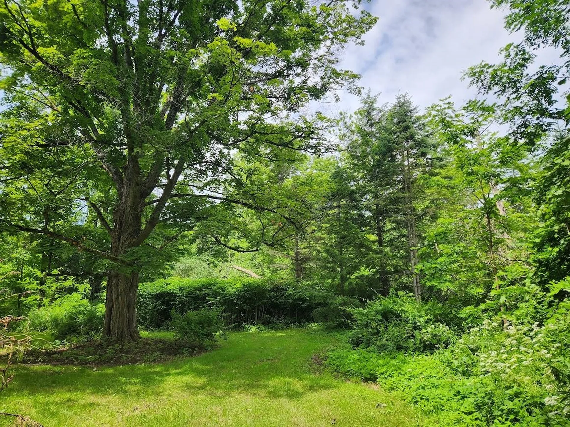115 River Street Wallingford VT 05773