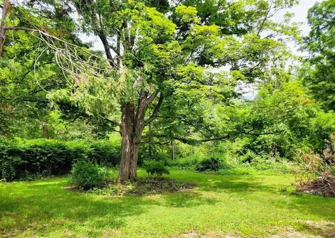 115 River Street Wallingford VT 05773