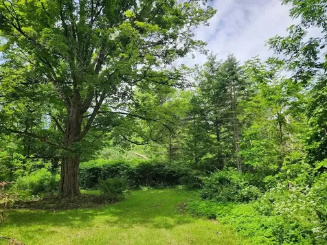 115 River Street Wallingford VT 05773