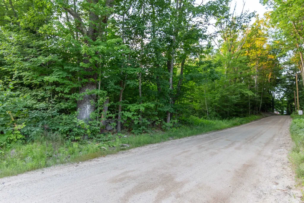 Map 413, Lot 4 Bunker Hill Road Tamworth NH 03886