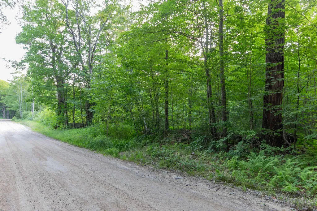 Map 413, Lot 4 Bunker Hill Road Tamworth NH 03886