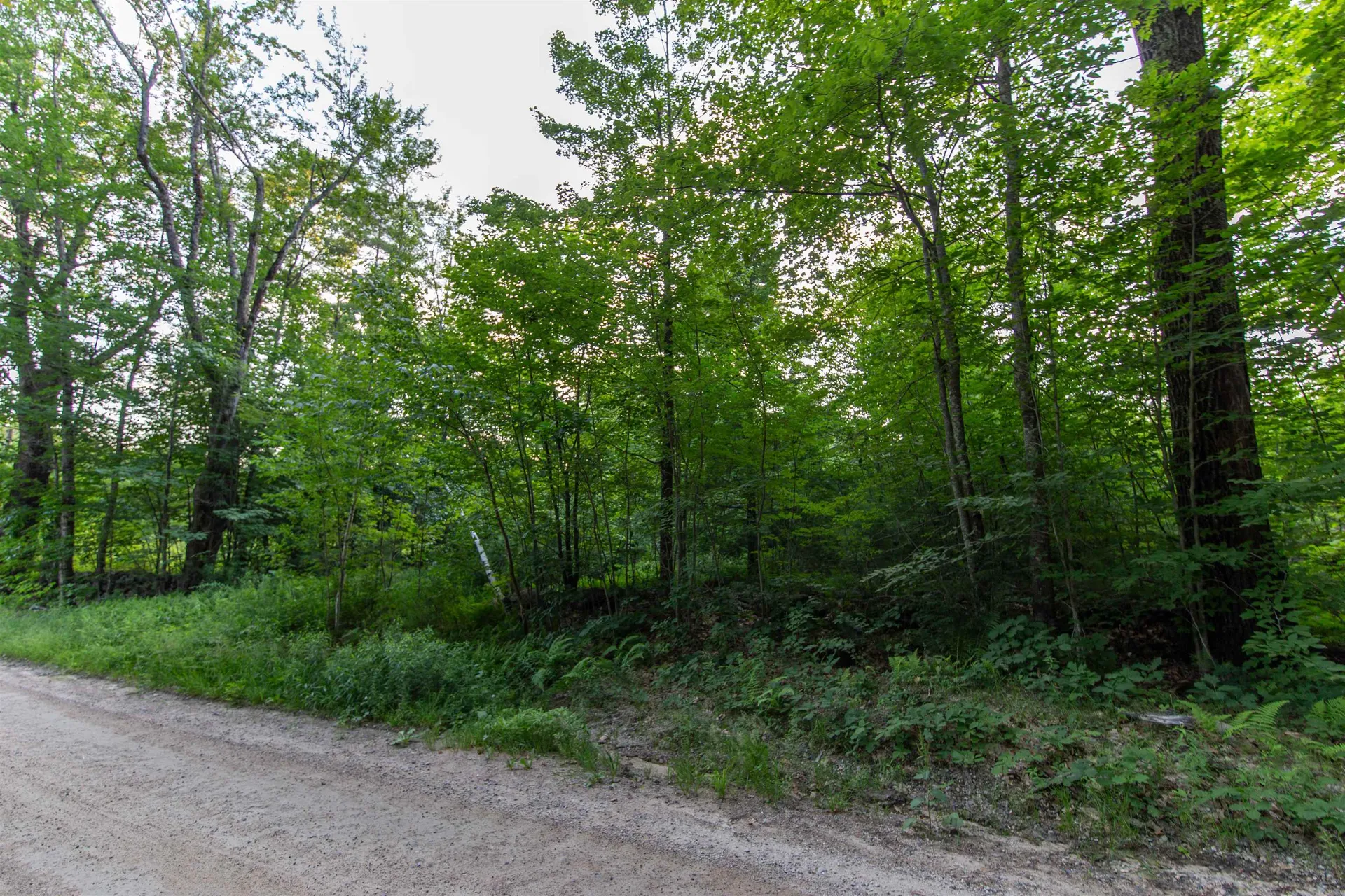 Map 413, Lot 4 Bunker Hill Road Tamworth NH 03886