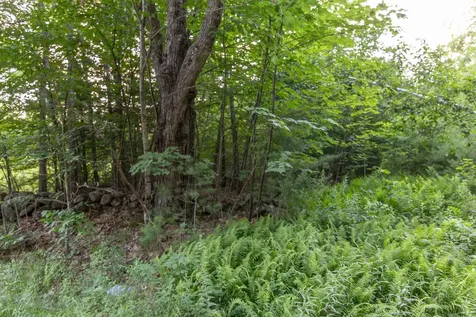 Map 413, Lot 4 Bunker Hill Road Tamworth NH 03886