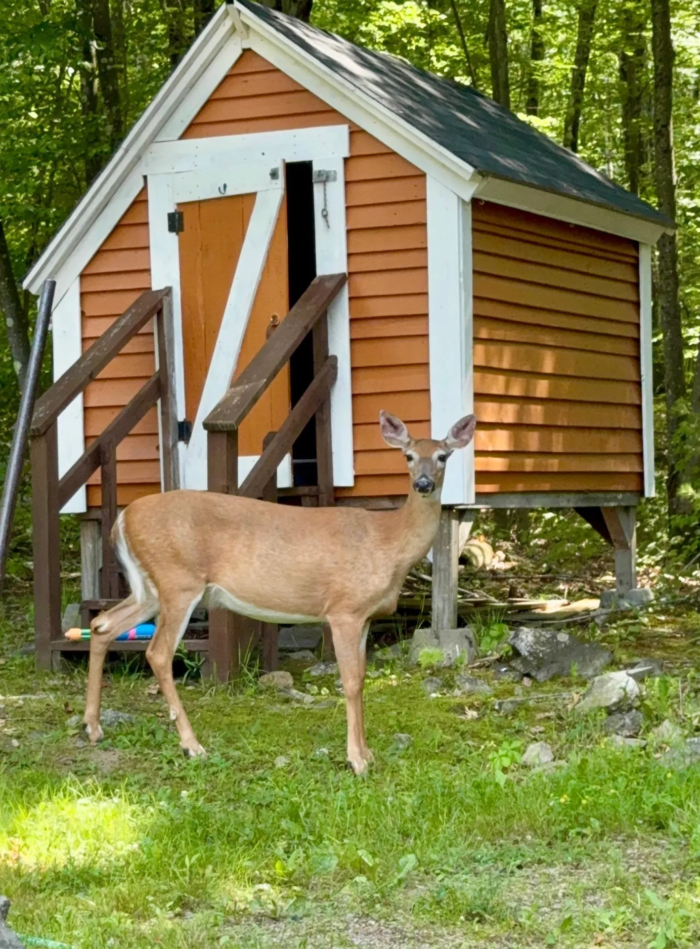 30 Roy Road Hooksett NH 03106