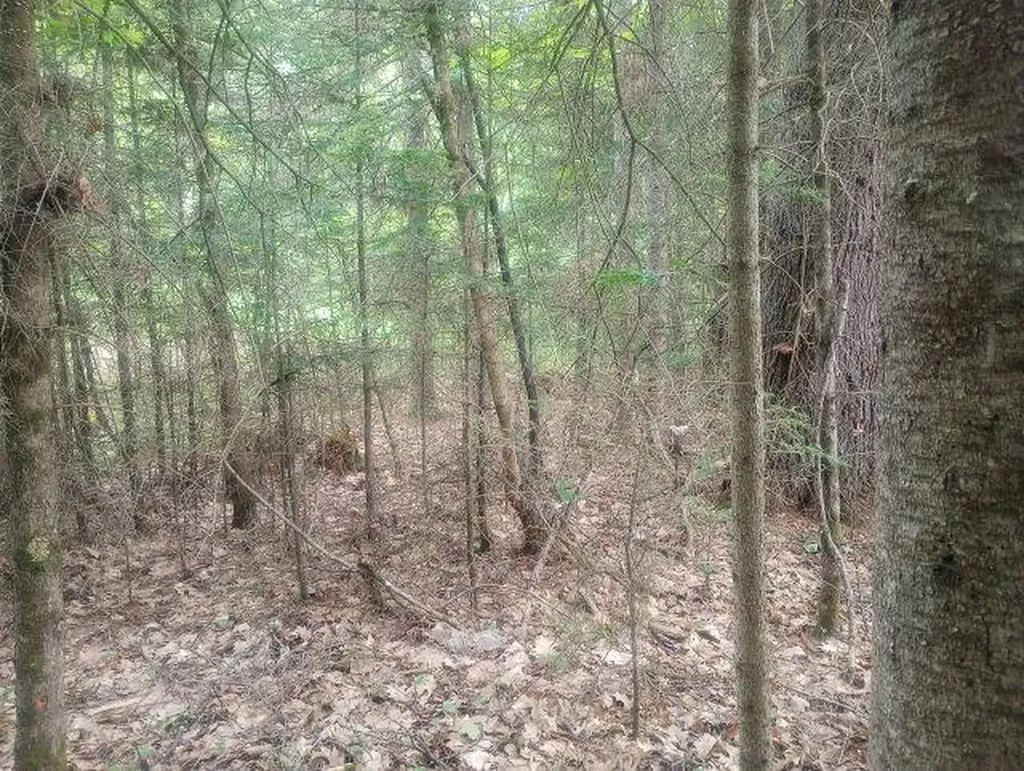 Swiftwater Circle Haverhill NH 03785