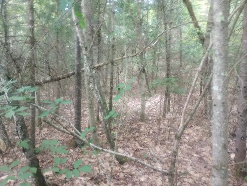 Swiftwater Circle Haverhill NH 03785