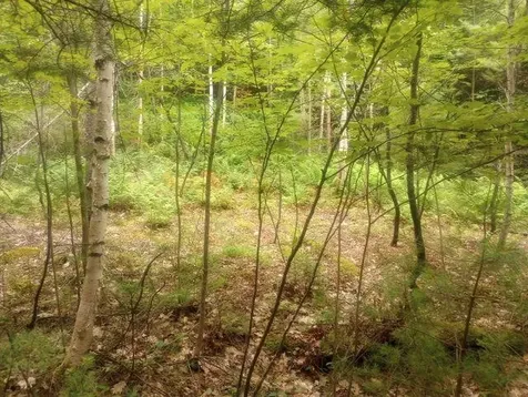 Swiftwater Circle Haverhill NH 03785