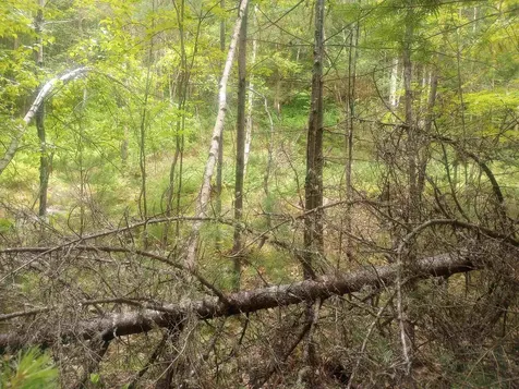 Swiftwater Circle Haverhill NH 03785