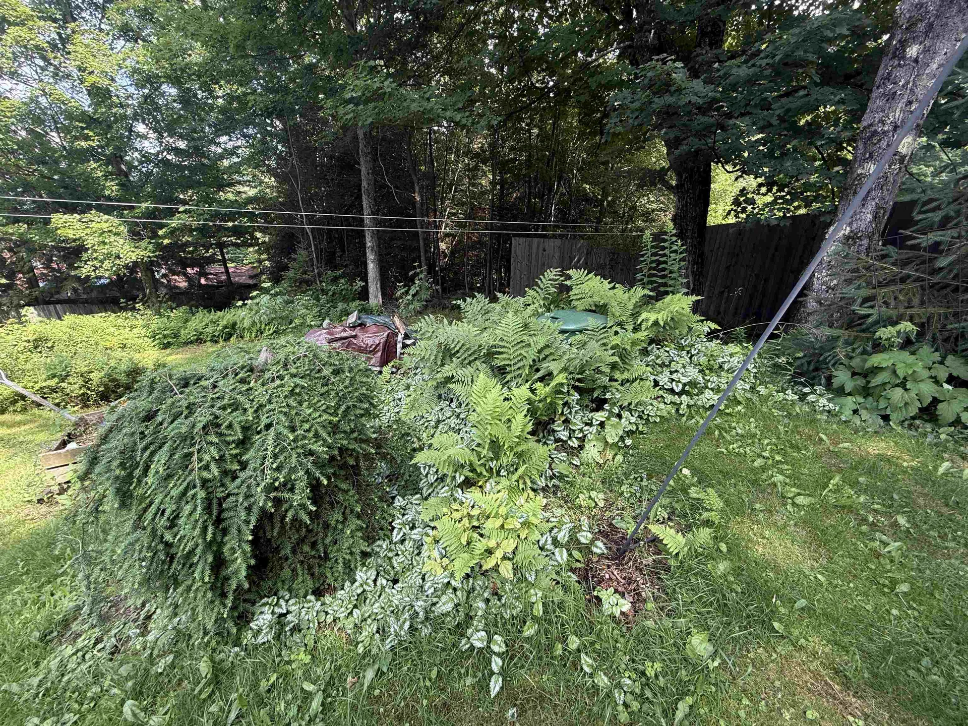 105 Buck Road Warren VT 05673