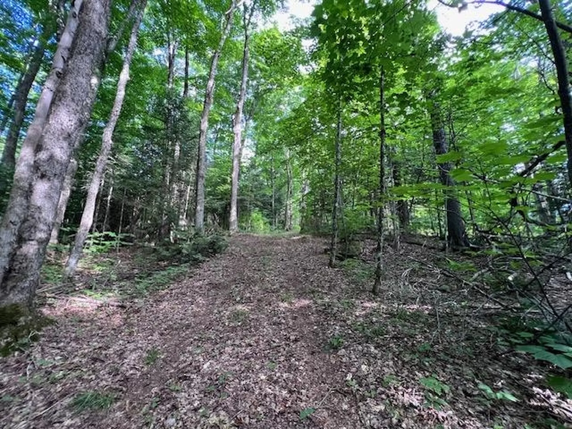 528 Paradise Lane Charleston VT 05872