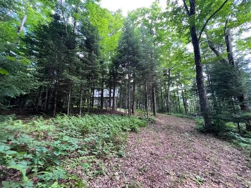 528 Paradise Lane Charleston VT 05872