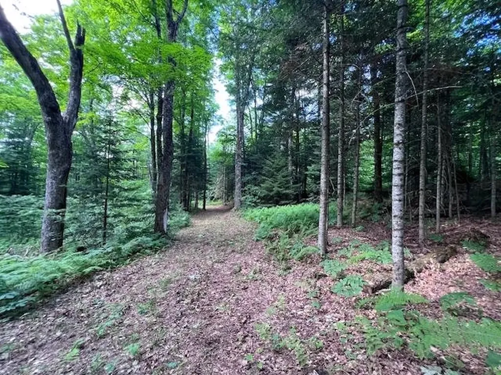 528 Paradise Lane Charleston VT 05872