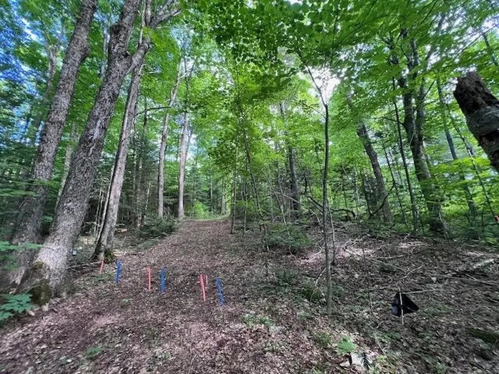 528 Paradise Lane Charleston VT 05872