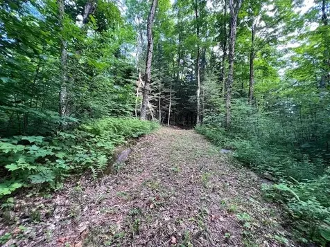 528 Paradise Lane Charleston VT 05872