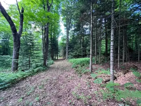528 Paradise Lane Charleston VT 05872