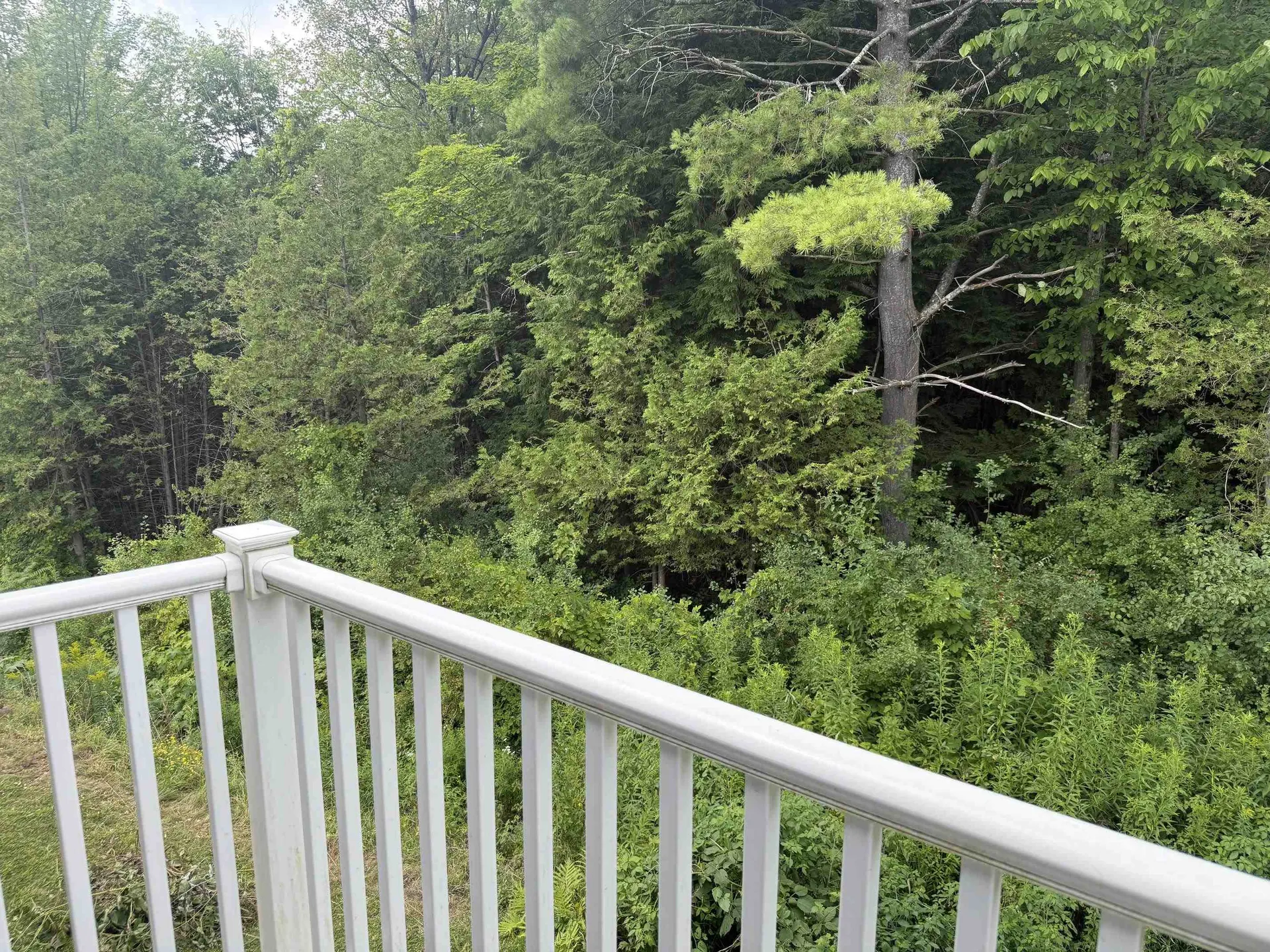 29 Payton Lane Barre Town VT 05641