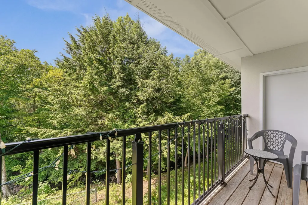 251 Mountainside Drive Warren VT 05674