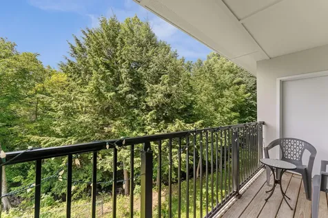 251 Mountainside Drive Warren VT 05674