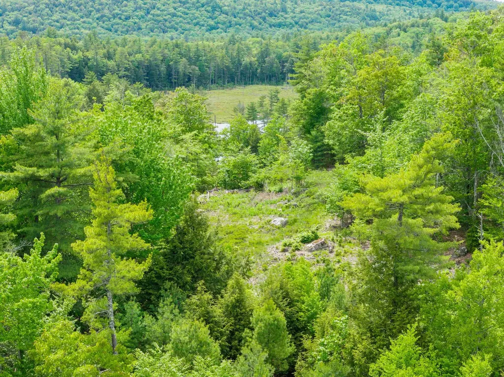 00 Pine Point Road New Durham NH 03855