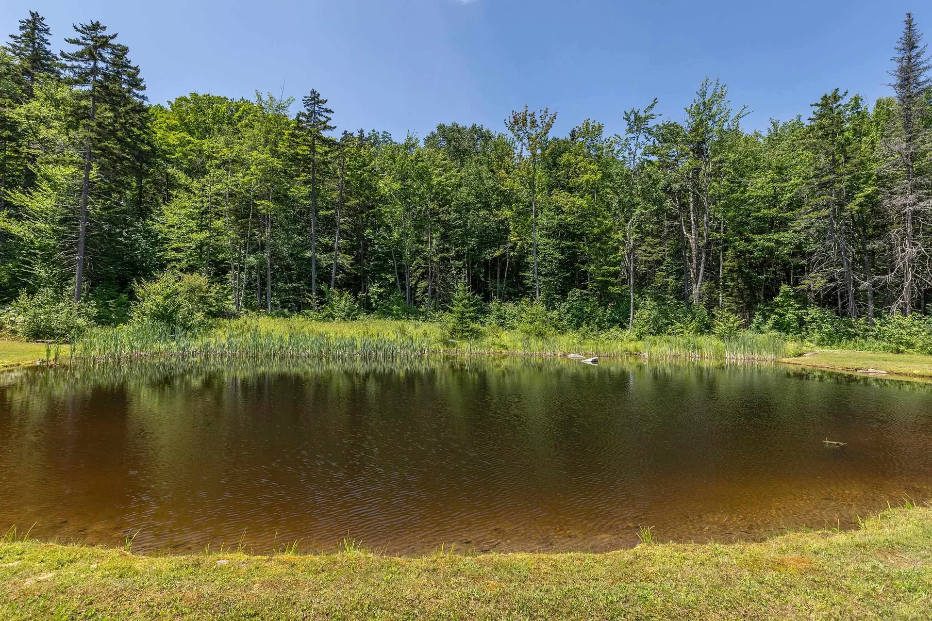 3319 East Hill Road Andover VT 05149