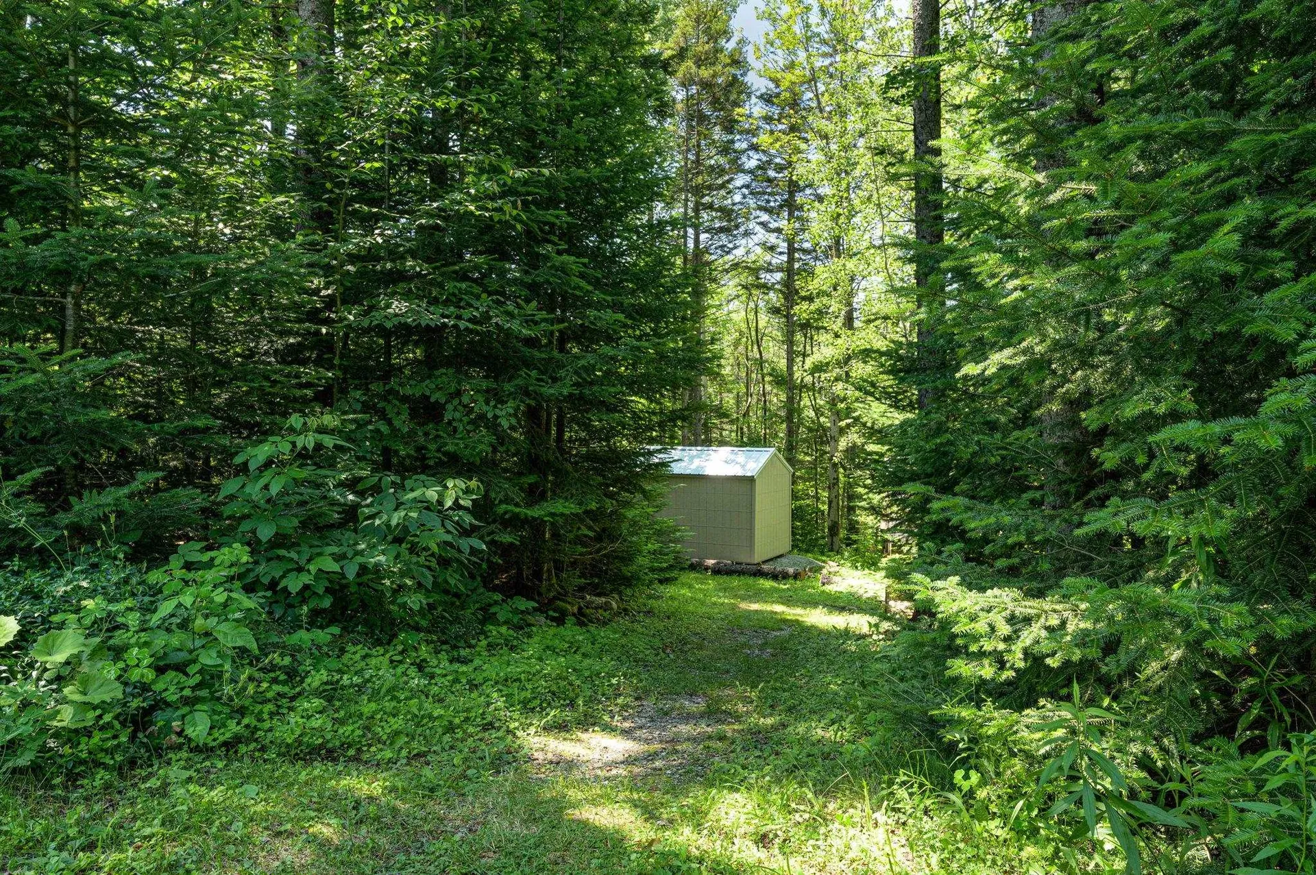 18 Old Route 9 Searsburg VT 05363-9672